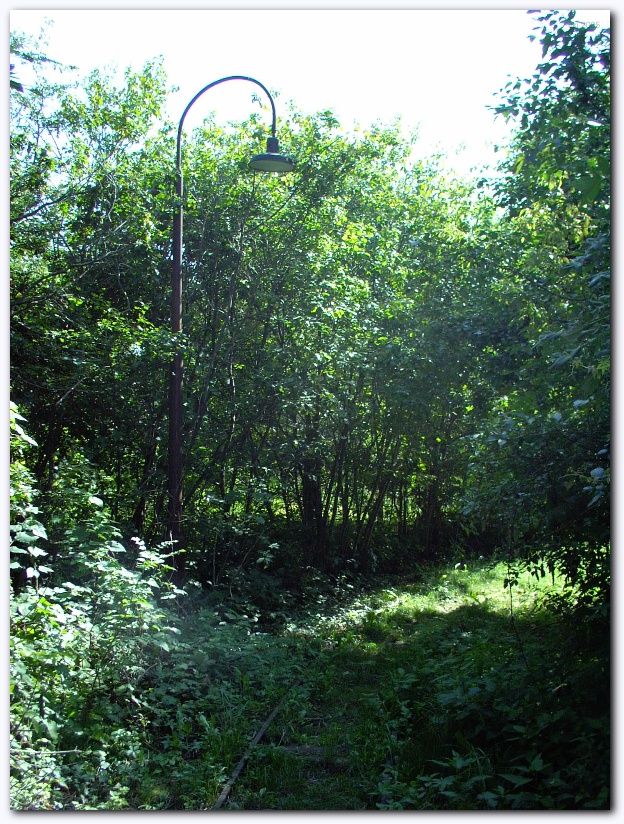 602x801 pixels (345K)
